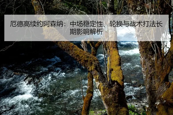 厄德高续约阿森纳：中场稳定性、轮换与战术打法长期影响解析